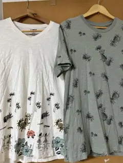 Item thumbnail for item 9bc0b4df-6598-4ab6-9bb0-b4ce39358f0c