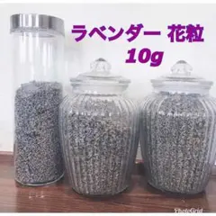 2025年最新】ラベンダー生花・切り花の人気アイテム - メルカリ