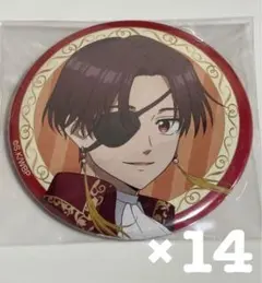 WIND BREAKER ウィンブレ マジシャン 蘇枋隼飛 缶バッジ