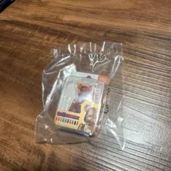 新品未使用】ビオールオーガニクス ラッキーチャーム 猫チャーム