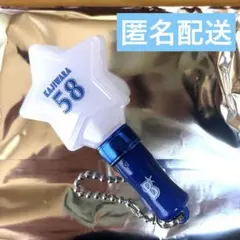 にょん（まとめ買いもご相談ください）様 リクエスト 2点 まとめ商品