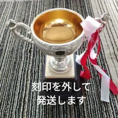 優勝カップ　29㎝×22㎝×15㎝