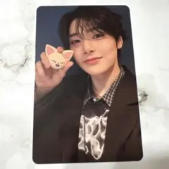 Stray Kids スキズ SKZOO たまごっち トレカ アイエン