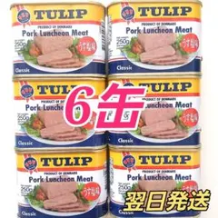 ✨チューリップ✨　ランチョンミート　うす塩　250g 　6缶セットのサムネイル