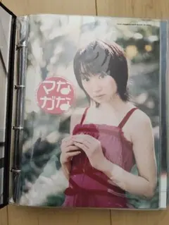 水樹奈々　会報1〜79 会報誌用バインダー・リフィルセット メルカリ
