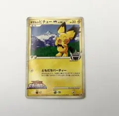 2026年最新】ギザみみピチューm 青山の人気アイテム - メルカリ