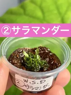 【速達❣️】ちゃちゃふぁむ様 リクエスト 3点 まとめ商品