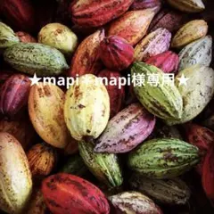 ★mapi＊mapi様専用★