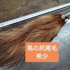 Item thumbnail for item 15631b33-489e-4ad8-9941-5bd0a6f6b313