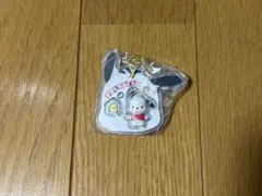 サンリオキャラクターズ パッケージチャーム