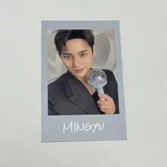 SEVENTEEN セブチ ミンギュ インスタントフォト NEW