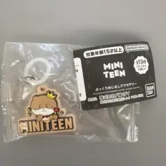 miniteen ミニティーン めじるしアクセサリー ディノ