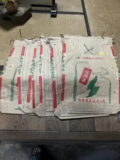 Item thumbnail for item e164f8c2-bace-4d92-b122-52754dce5437