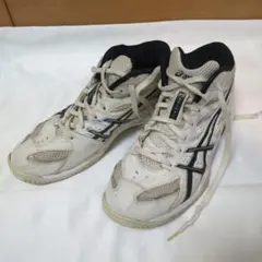 asics アシックス GELHOOP ゲルフープ TBF675 バスケシューズのサムネイル