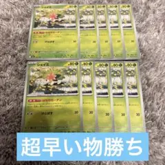 シェイミ　はなのカーテン　汎用　10枚まとめ売り
