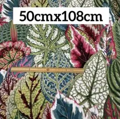 USAコットン ケイフファセット 生地 ⑯ 50cm グリーン系