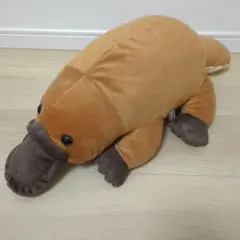 カモノハシ ぬいぐるみ