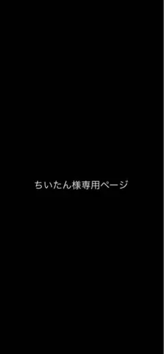 ちいたん様専用ページ
