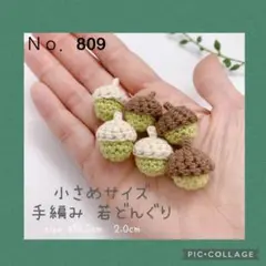 Ｎｏ．809 小さめサイズ♡若どんぐり 6個セット