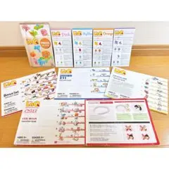 LaQ ラキュー 説明書 ガイド【ジャンク品】