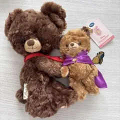 貴重　ディズニーユニベアシティ　美女と野獣 コスチューム付き ぬいぐるみセット ディズニーストア】コスチュームもセットで欲しい! 『美女と野獣