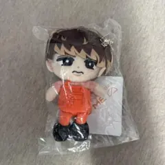 2025年最新】向井康二 すのチルの人気アイテム - メルカリ