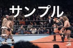 ひでちゃん様 リクエスト 2点 まとめ商品