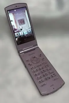 NEC N-01G ガラケー 折り畳み 3G 中古品