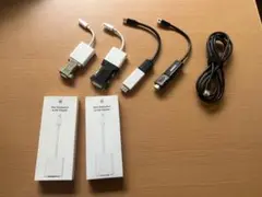 Apple純正 MiniDisplayPort to DVI adapter 他