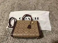 レア超美品 COACH シグネチャー ストロベリー柄 2wayバッグ - メルカリ