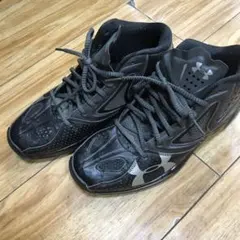 Item thumbnail for item db18fc6c-880d-42f7-993a-2a743222cdae