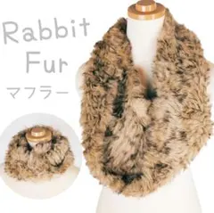 Item thumbnail for item af430682-12bb-483c-b8e5-0d3886a0ec80