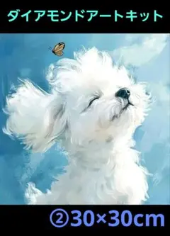 ②マルチーズ白い犬イラスト　ダイヤモンドアートキット 30×30cm