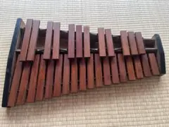 2025年最新】コオロギ シロフォンの人気アイテム - メルカリ