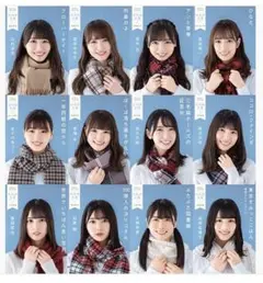 日向坂46 日向坂文庫2021 ネット書店限定22冊セット　新品未使用