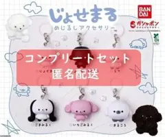 じょせまる めじるしアクセサリー　全6種セット　ガチャ