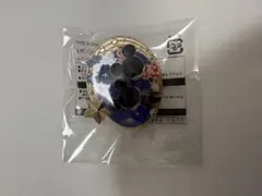 ディズニーランド 夜限定 バッチ