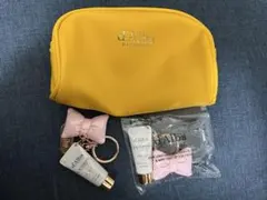 ダルバ d'Alba ノベルティー トーンアップサンクリームチャーム二つ ポーチ