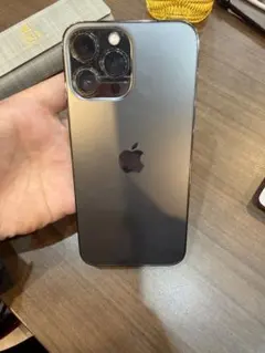 Apple iPhone 13 Promax グラファイト 6.7インチ