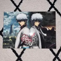 銀魂 公式パンフレット