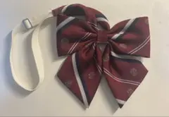 イーストボーイ EASTBOY リボン