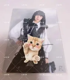 2026年最新】龍宮城 サインの人気アイテム - メルカリ