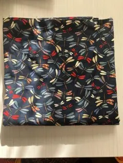 Item thumbnail for item 31b01c03-8682-4353-bf75-1a46afd6d01c