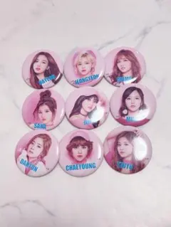 TWICE メンバー缶バッジセット 9個 箱推し