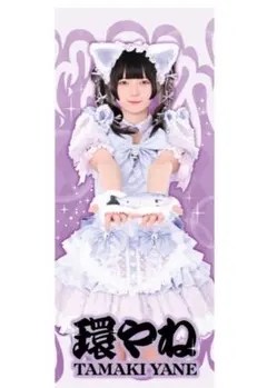 2026年最新】環やね 生誕の人気アイテム - メルカリ