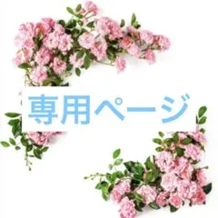 りんちゃん様　専用ページです