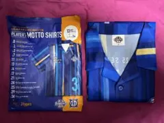 Item thumbnail for item ed4e1d58-e4b3-47b7-b3dc-db042337f46d