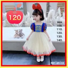 新商品⭐️【お姫様ドレス①/白雪姫】 120サイズ