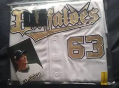 Item thumbnail for item d5a9abbc-6d02-4a10-bfb3-d215014b2628