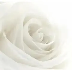 ゆきりん様♡専用